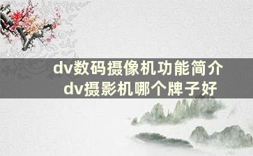 dv数码摄像机功能简介 dv摄影机哪个牌子好